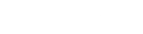 camelot-logo-w